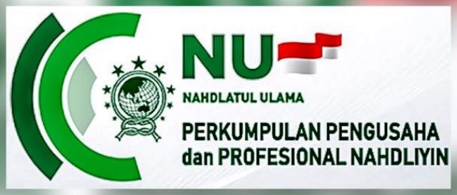 P2N Logo