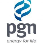 pgn