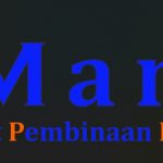 p3sm-logo-original